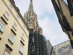 -斯蒂芬主教座堂(Stephansdom)