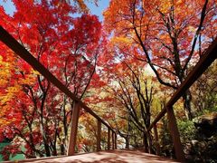 -叠溪松坪沟景区