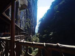-蝶舞清江·恩施云顶景区(黄鹤峰林)