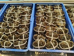 -517烧烤·龙虾·海鲜大排档(万象都荟店)