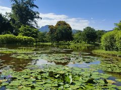 -中国科学院西双版纳热带植物园