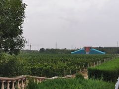 -龙谕酒庄