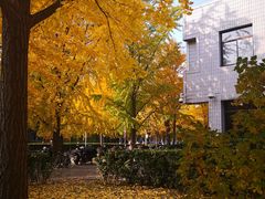-北京大学赛克勒考古与艺术博物馆