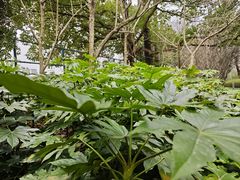 -浙江大学(玉泉校区)