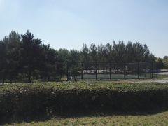 -蒲河岛湿地公园