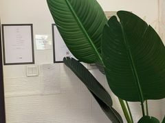 -红像馆连锁精致证件照职场照(中关村店)