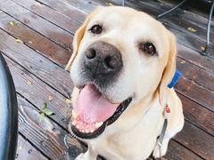 -VESH COFFEE(定西路店)