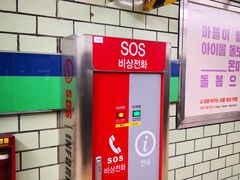 -江南面屋(明洞店)