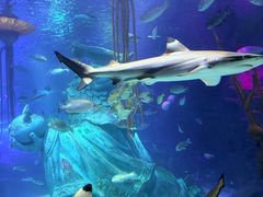 -沈阳海洋探索中心