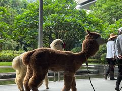 -南宁荔园维景国际酒店·荔园中餐厅