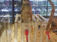 -宠物世家(仲盛世界商城店)