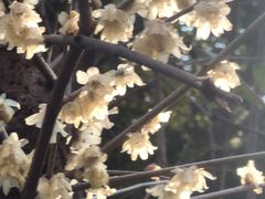 -钱王祠
