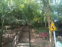 -上海佘山国家森林公园天马山园