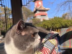 -四川大学(华西校区)