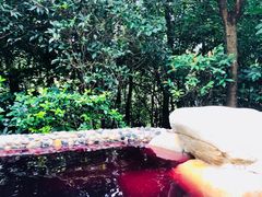 -天目湖涵田半山温泉