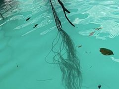-三门海