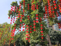 -晓港公园