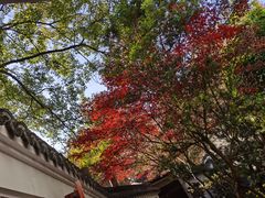 -上海白云观