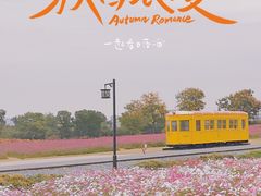 -径山花海