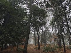 -虞山风景区