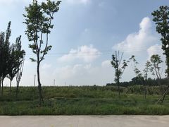 -卧龙湖