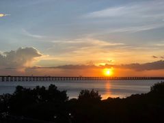 -宝安西湾红树林湿地公园