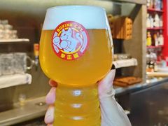 -Boxing Cat Brewery拳击猫精酿啤酒馆(永福店)