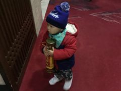 -九华山聚龙大酒店