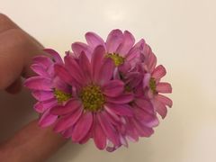-海底捞火锅(威高广场店)