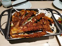 -斯琴阿妈蒙古餐厅(新城店)