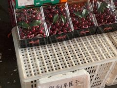 -江杨农产品批发市场
