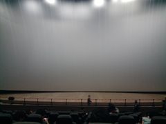 -天幕新彩云国际影城(激光巨幕店)