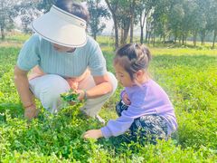-汉长安城未央宫国家考古遗址公园