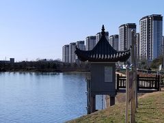 -官亭林海