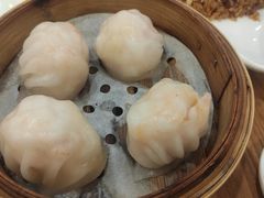 -富豪酒家(正大广场店)