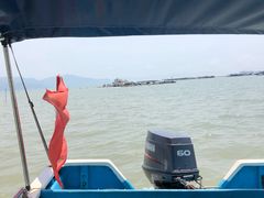 -罗源湾8号渔排