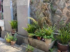 -莆田湄洲妈祖祖庙