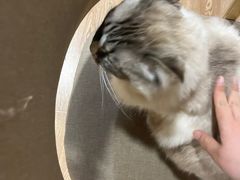 -白兔子密室(长寿路店)