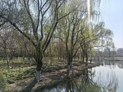 -白塘生态植物园