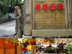 -叶叶菩提(太原别墅店)