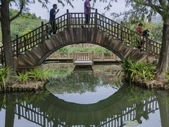 -五缘湾湿地公园
