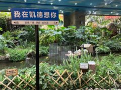 -凯德广场(学府店)
