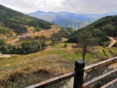 -紫鹊界梯田景区