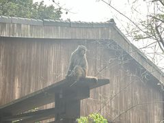 -伊岭岩风景区