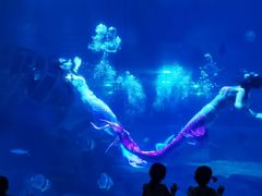 -福州罗源湾海洋世界旅游区