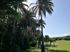 -鹅銮鼻公园