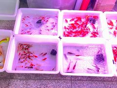 -宝鸡东道花鸟鱼虫市场(吉利花园商场店)