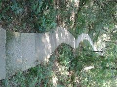 android_upload_pic-府山公园