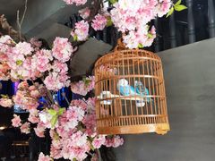 -新悦·霞浦海鲜生(上下杭店)