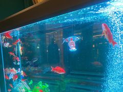 -雀蓝川菜(奥体广场店)